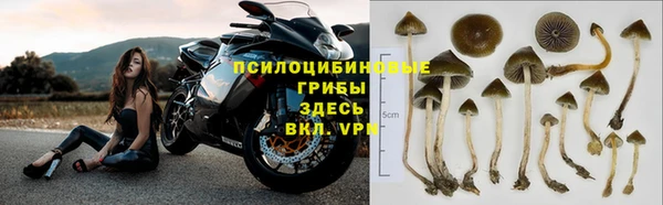 a pvp Алексин
