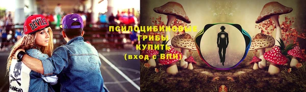 a pvp Алексин